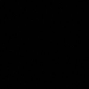 Meet your Posher, Rylee